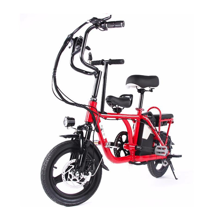 Parent-child E Bike